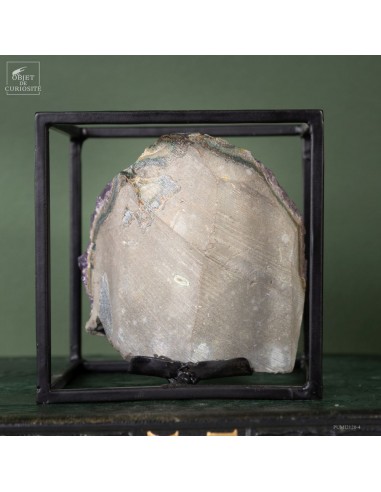 Améthyste d'Uruguay en cage Améthyste d'Uruguay en cage