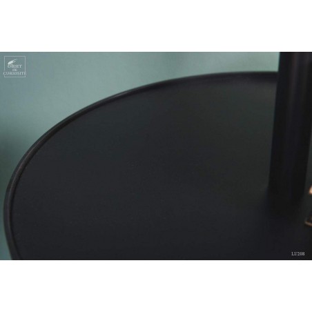 BLACK  floor lamp with frozen glass shades