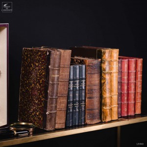 Livres anciens reliure GM lot de 1 mètre