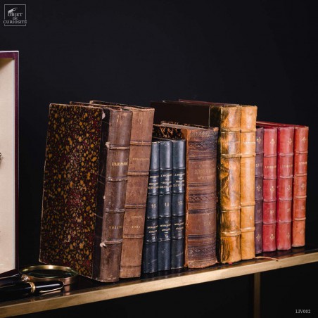 Set of 1 meter of big leather antic books
