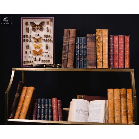 Set of 1 meter of big leather antic books