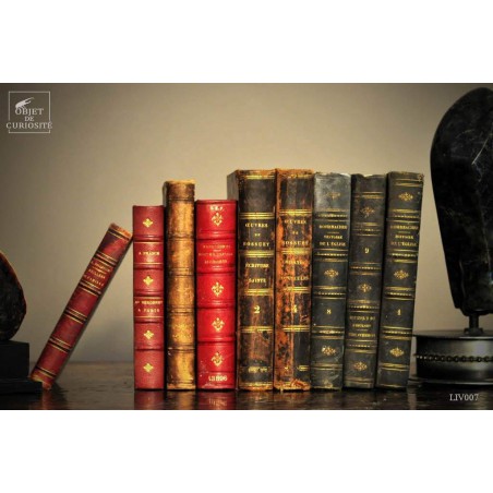 Set of 1 meter of small leather antic books