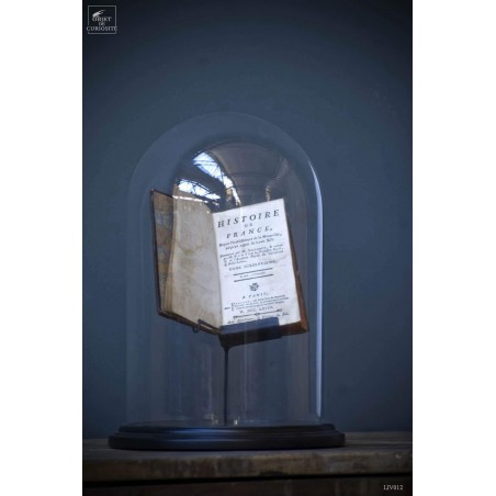 Antic french books under glass