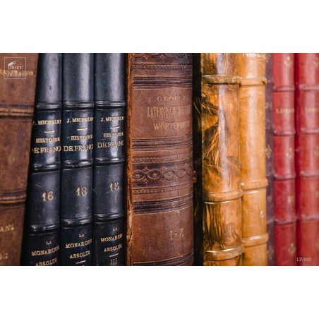 Set of 1 meter of big leather antic books