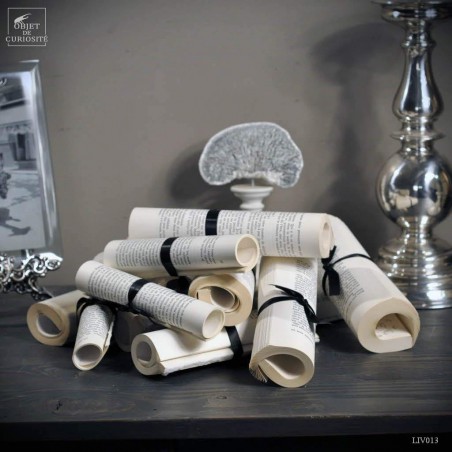 set of 25 rolls of printed books