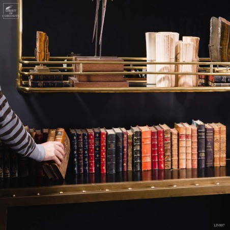 Set of 1 meter of small leather antic books