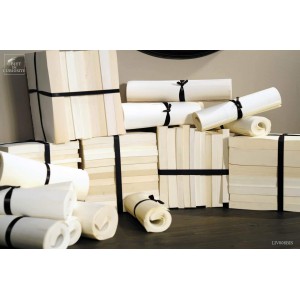 Livres BLANCS 25 rouleaux et RUBAN NOIR 2