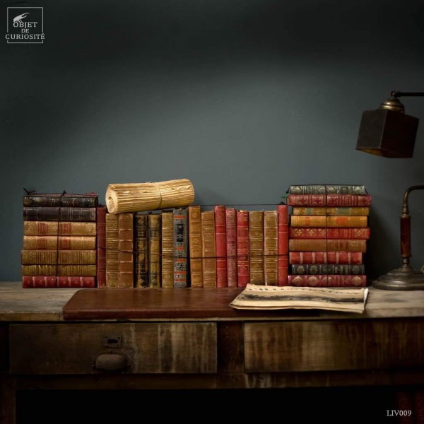 Small leather french books