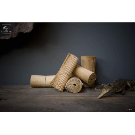 Set of 25 rolls of books