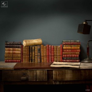 Livres petite reliure vieillie  lôt 1 mètre 2