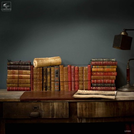 Small leather french books