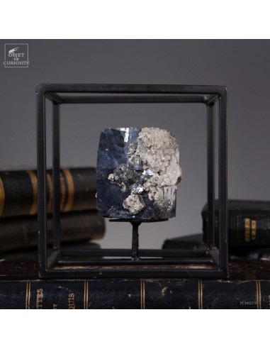 Galène, Bulgarie, présentation en cage