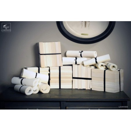 1meter of decorative french white books