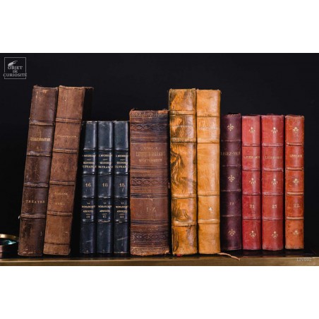 Set of 1 meter of big leather antic books