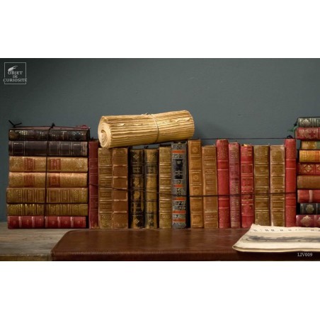 Small leather french books
