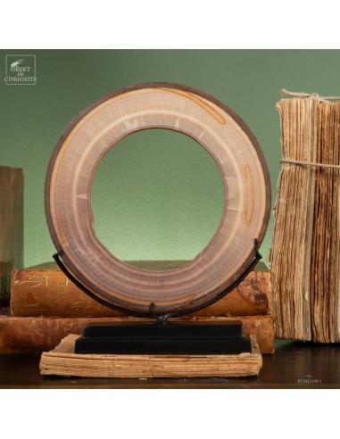 Aragonite crusted pipe from Karlovy Vary