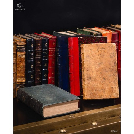 Set of 1 meter of small leather antic books
