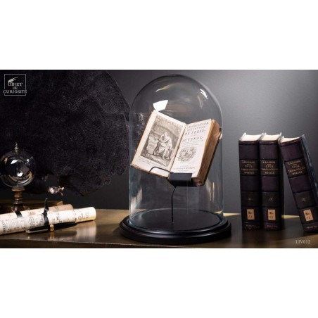 Antic french books under glass