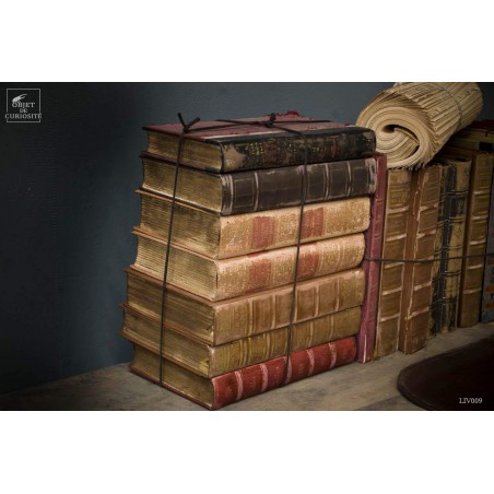 Small leather french books