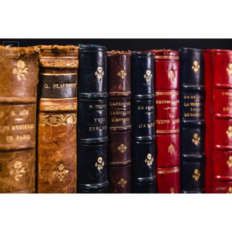 Set of 1 meter of small leather antic books