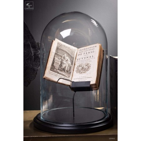 Antic french books under glass