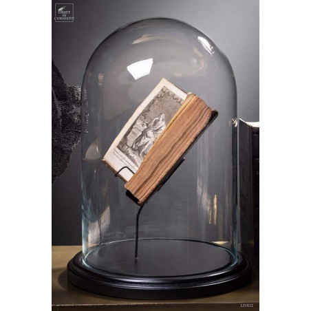 Antic french books under glass