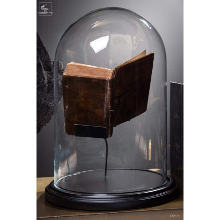Antic french books under glass