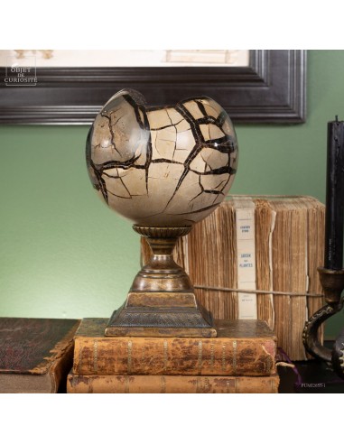 Septaria ball 4.7Kg on brass base