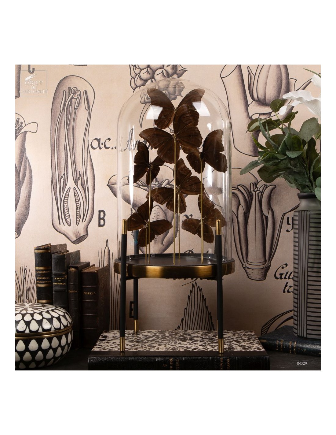 7 papillons bleu MORPHO MENELAUS sous... 7 papillons bleu MORPHO MENELAUS sous...