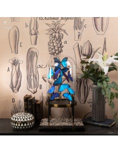 9 blue butterflies MORPHO... 2