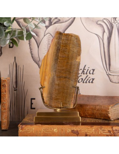 Plaque oeil de tigre (530G) face...