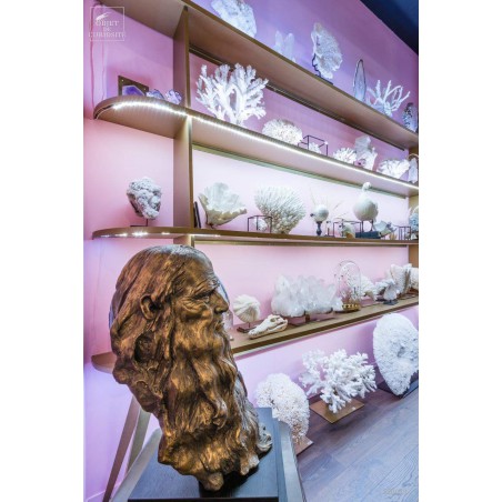 Etagère de collection MDF doré, avec led