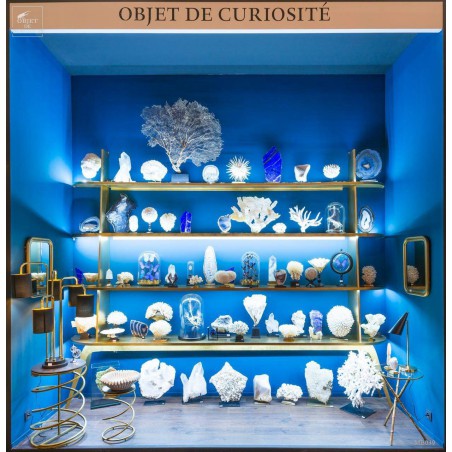 Etagère de collection MDF doré, avec led