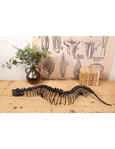 Giant black aluminium python : head/tail
