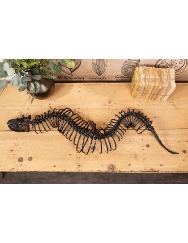 Giant black aluminium python : head/tail