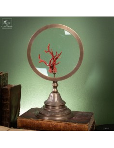 Mediteranean sea red coral...