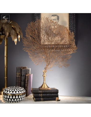 Brown gorgonian, brass base, Madagascar