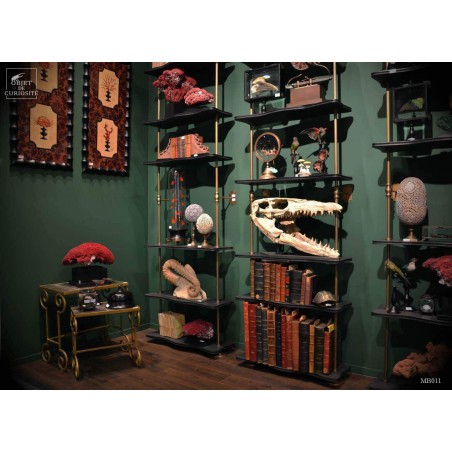 Etagère XIXeme GM 2 pieds - 6 étagères