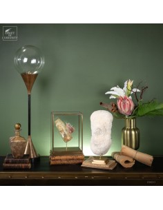 Corail blanc Bowl... 2