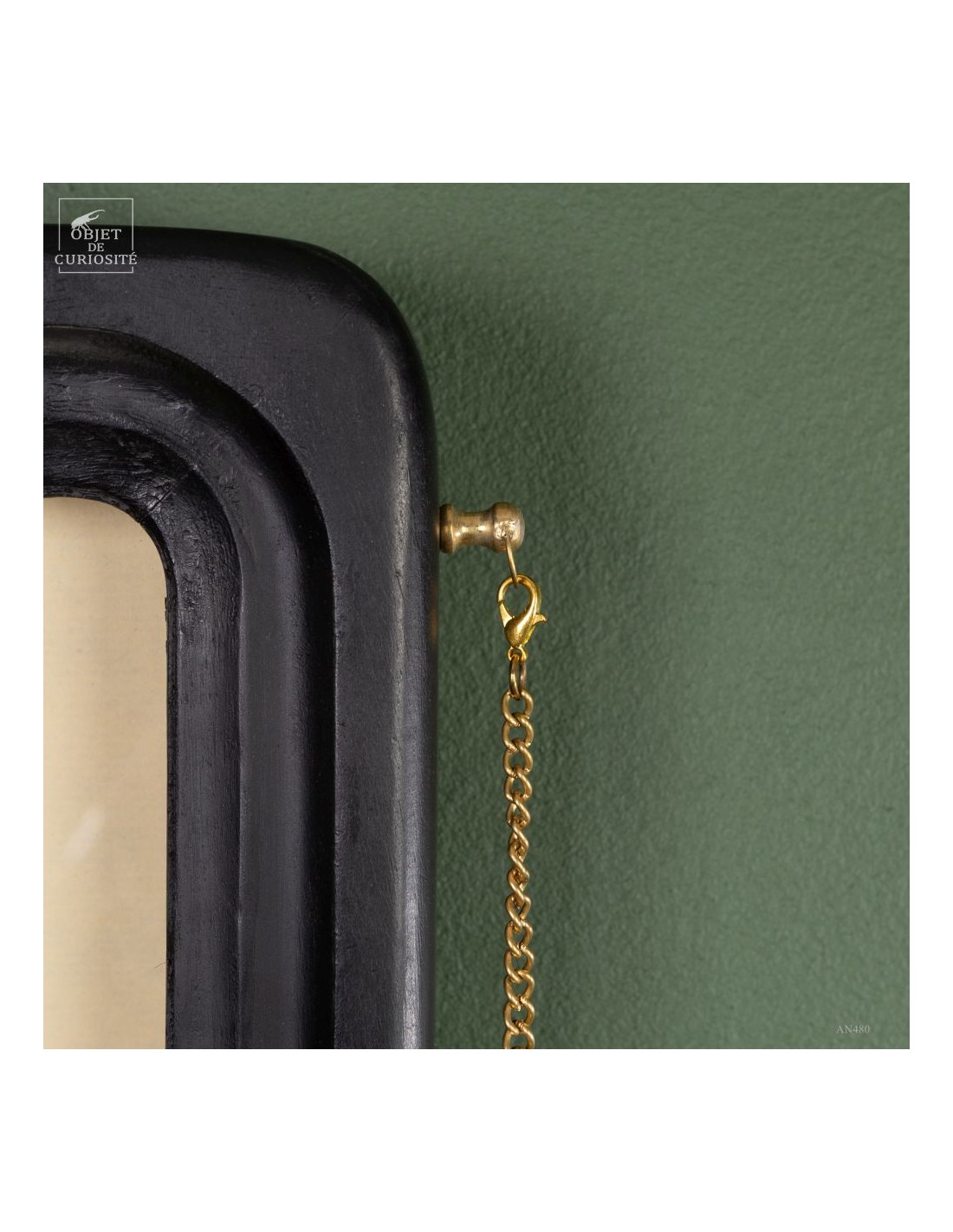 Taxidermie de chauve souris -K.... Taxidermie de chauve souris -K....