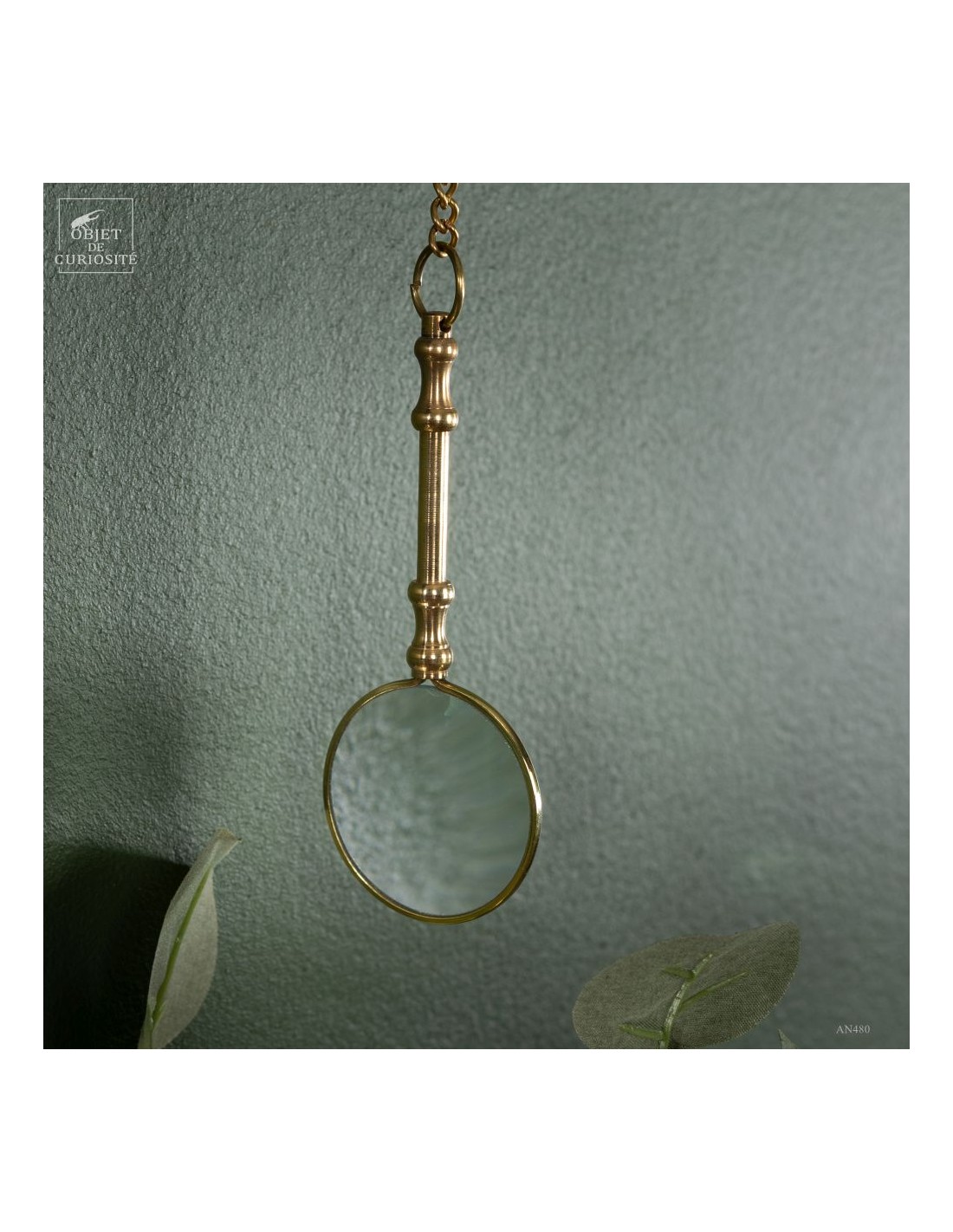 Taxidermie de chauve souris -K.... Taxidermie de chauve souris -K....