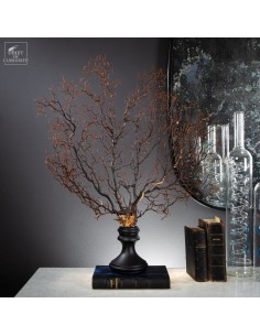 Black sea fan, tree-shaped