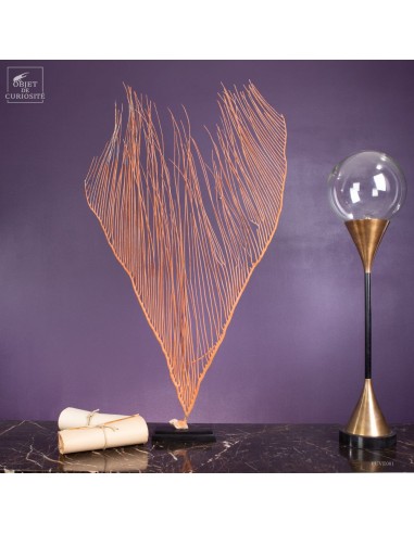 Gorgone LYRE orange (Ctenocella... Gorgone LYRE orange (Ctenocella...