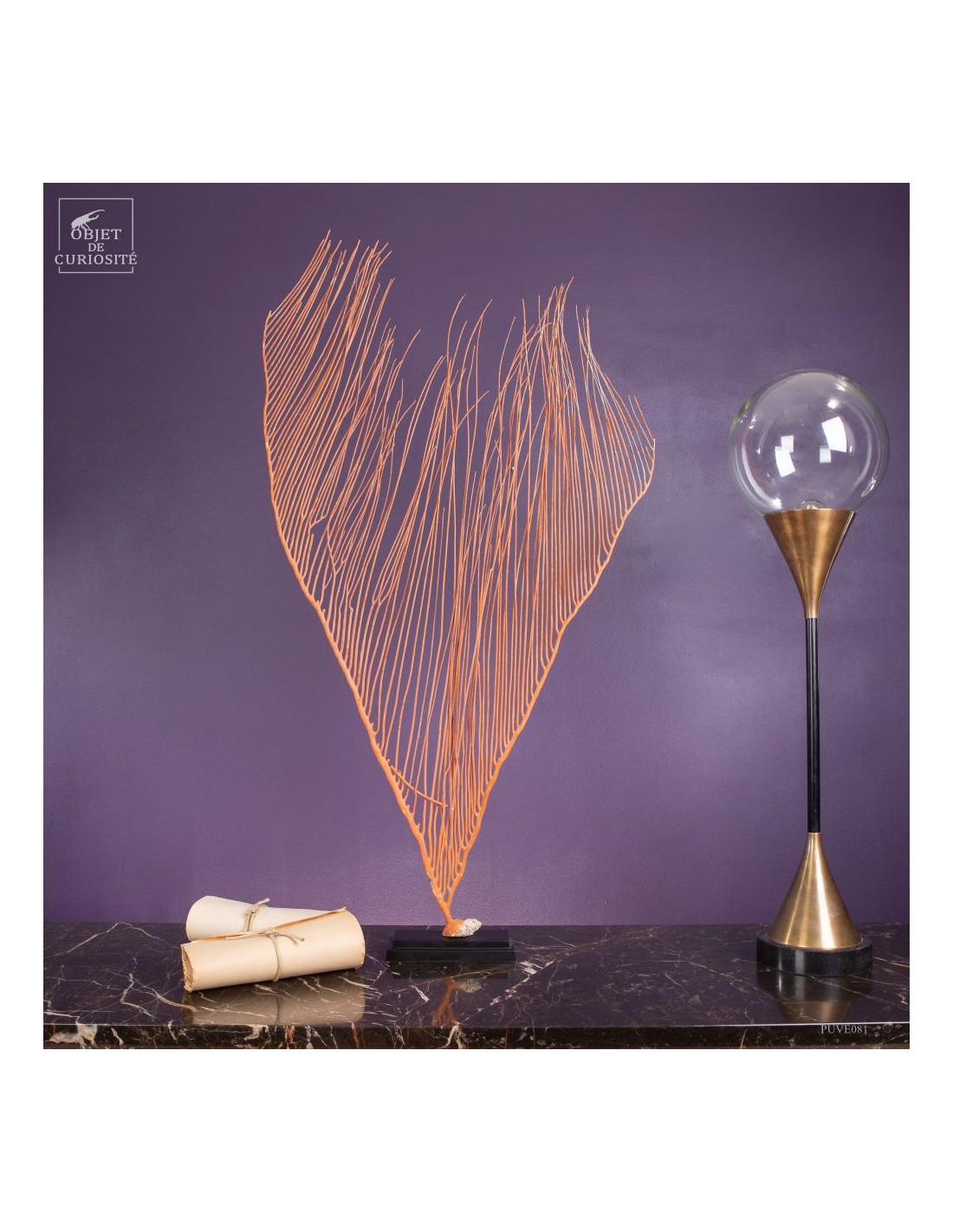 Gorgone LYRE orange (Ctenocella... Gorgone LYRE orange (Ctenocella...