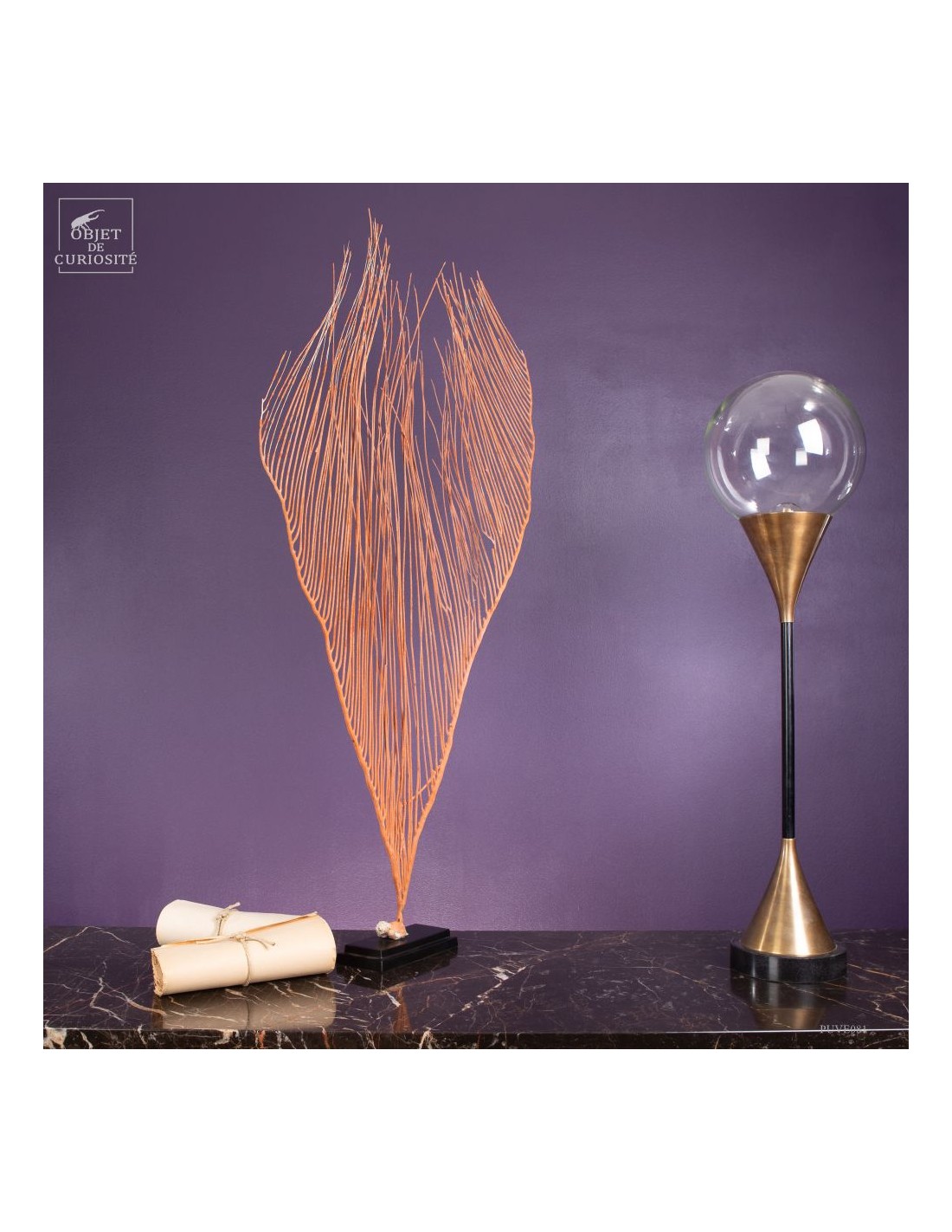 Gorgone LYRE orange (Ctenocella... Gorgone LYRE orange (Ctenocella...