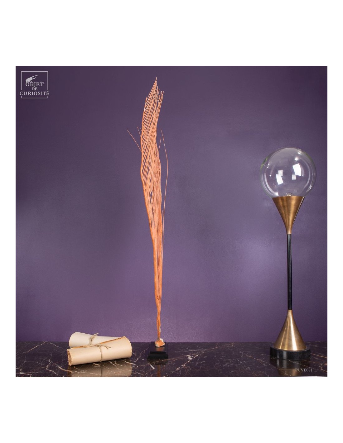 Gorgone LYRE orange (Ctenocella... Gorgone LYRE orange (Ctenocella...