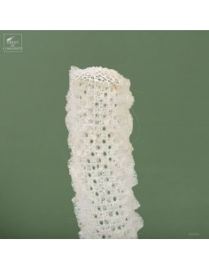 Deep sea glass sponge under... 2
