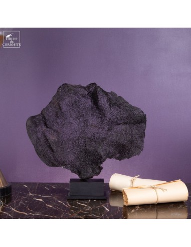 Purple fan sponge on black base