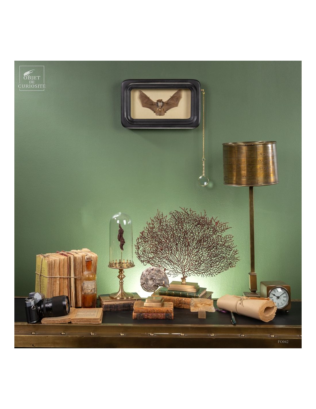 Goniatite à pics sur base laiton Goniatite à pics sur base laiton