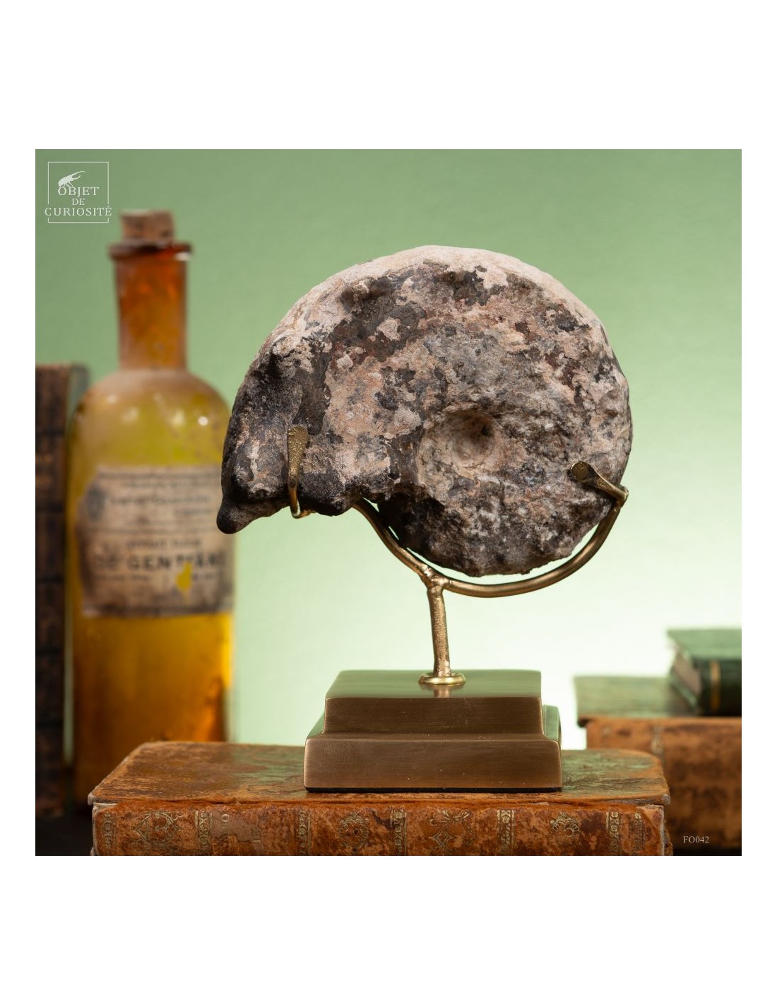 Goniatite à pics sur base laiton Goniatite à pics sur base laiton